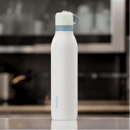 Owala FreeSip Water Bottle