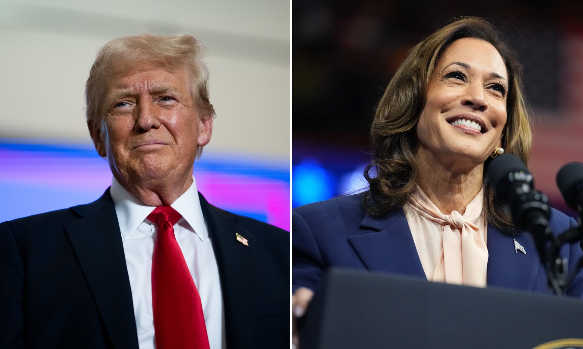 trump and harris
